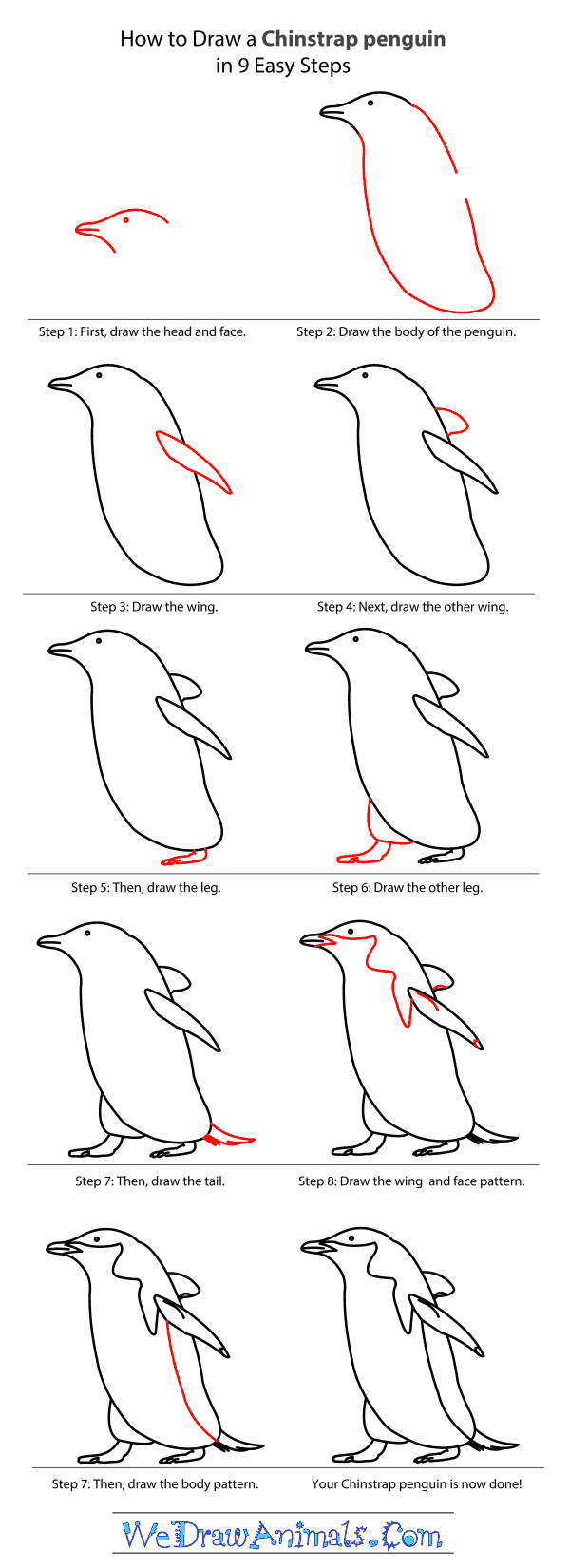 How to Draw a Chinstrap Penguin - Step-by-Step Tutorial