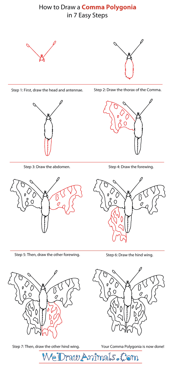 How to Draw a Comma - Step-By-Step Tutorial