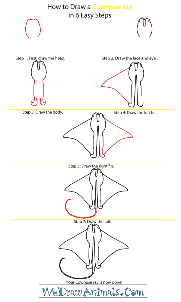 How to Draw a Cownose Ray - Step-by-Step Tutorial