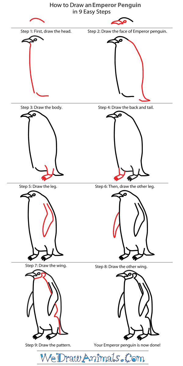 How to Draw an Emperor Penguin - Step-By-Step Tutorial