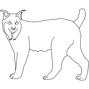 How To Draw a Eurasian Lynx - Step-By-Step Tutorial