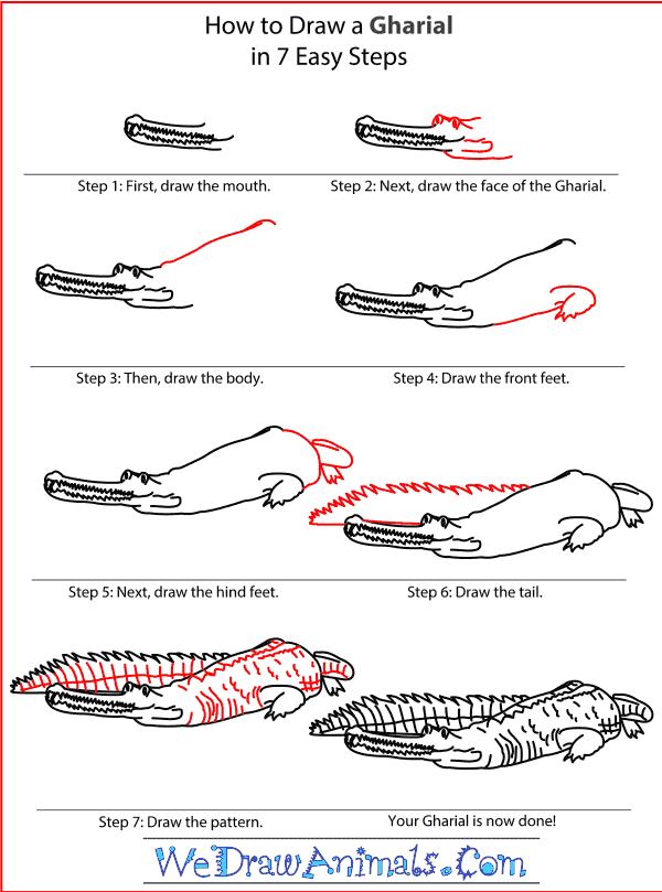How to Draw a Gharial - Step-by-Step Tutorial