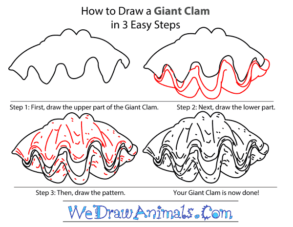 How to Draw a Giant Clam - Step-by-Step Tutorial