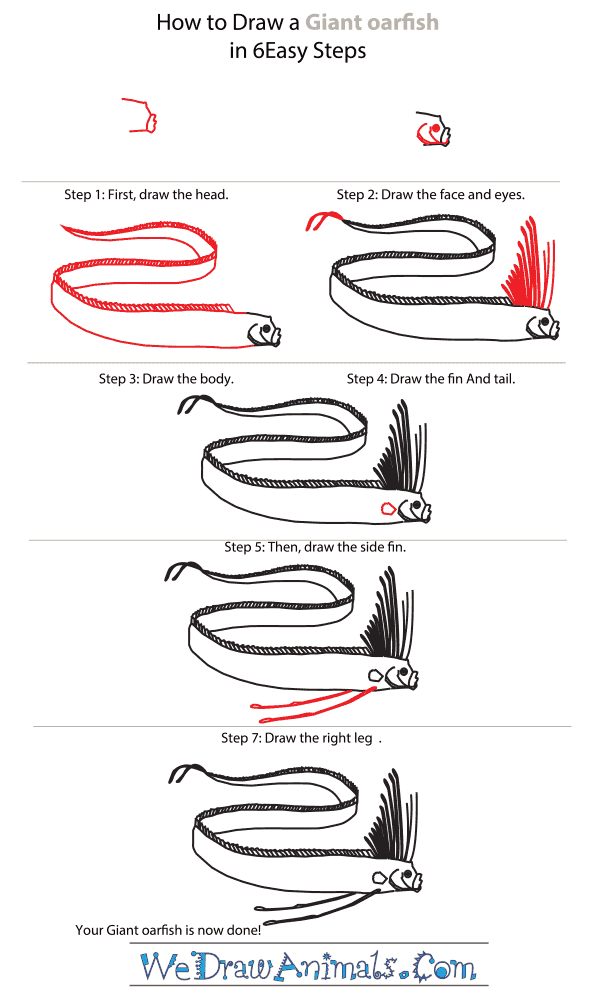 How to Draw a Giant Oarfish - Step-By-Step Tutorial