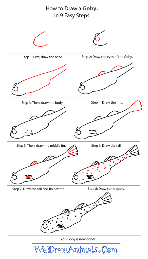 How to Draw a Goby - Step-by-Step Tutorial