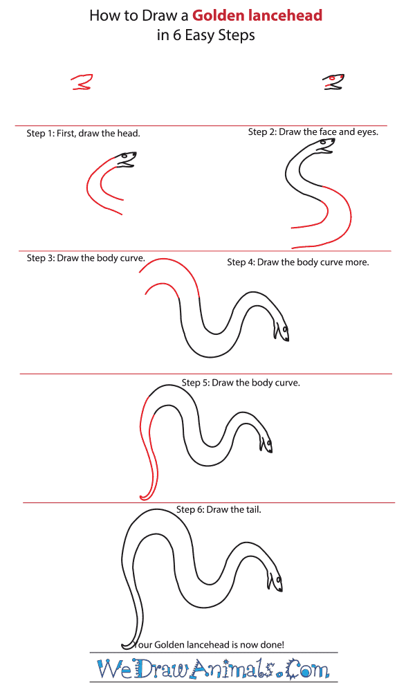 How to Draw a Golden Lancehead - Step-by-Step Tutorial