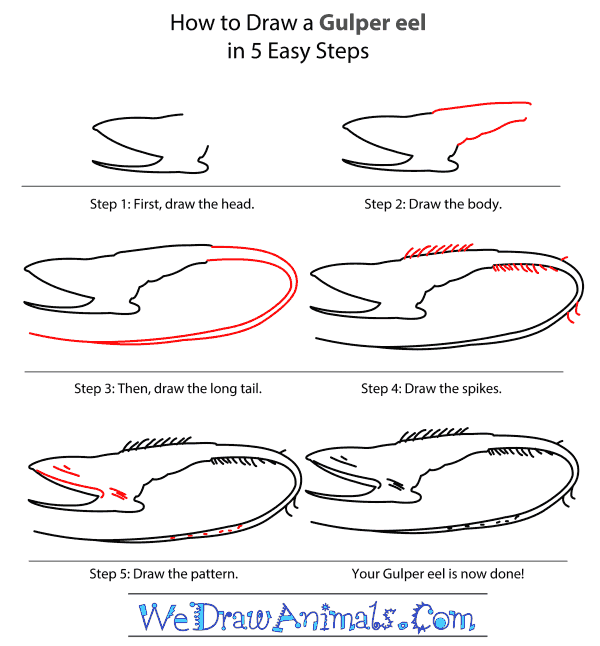 How to Draw a Gulper Eel