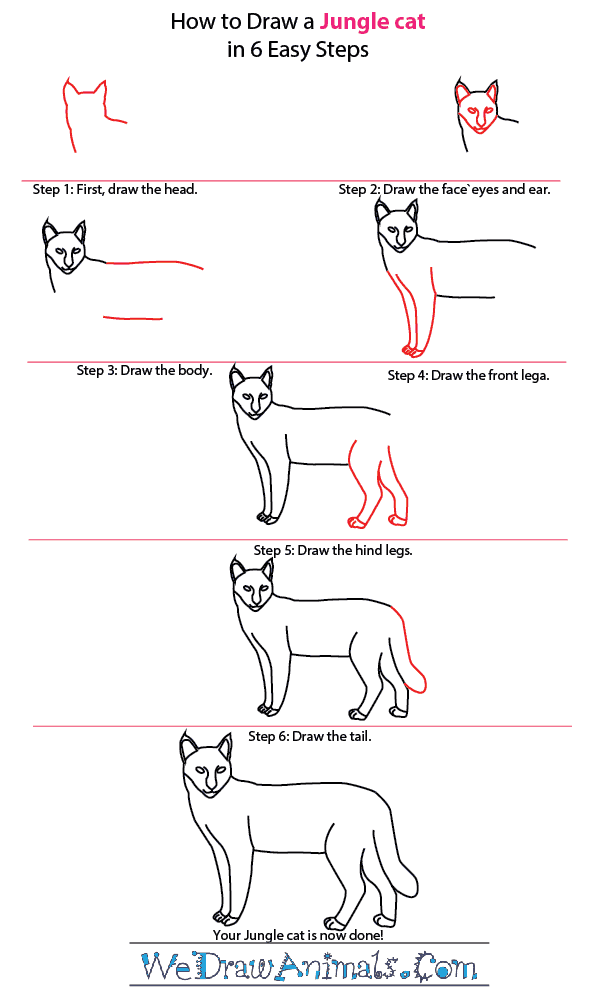 How to Draw a Jungle Cat - Step-by-Step Tutorial