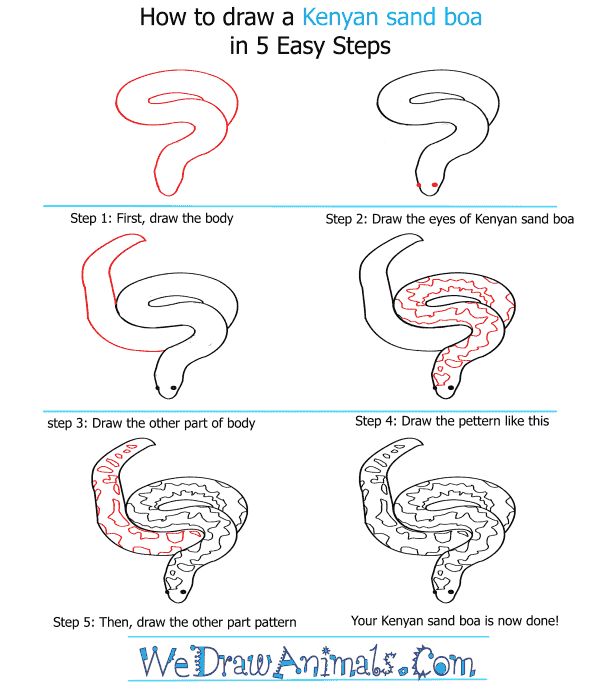 How to Draw a Kenyan Sand Boa - Step-by-Step Tutorial