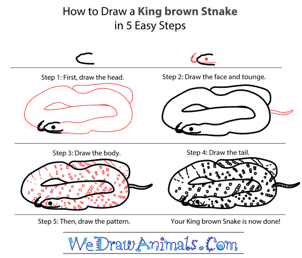 How to Draw a King Brown Snake - Step-by-Step Tutorial