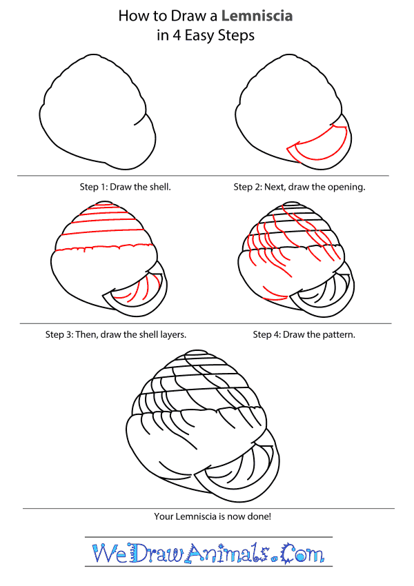 How to Draw a Lemniscia - Step-By-Step Tutorial
