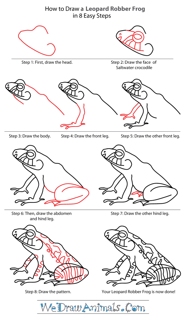 How to Draw a Leopard Robber Frog - Step-By-Step Tutorial