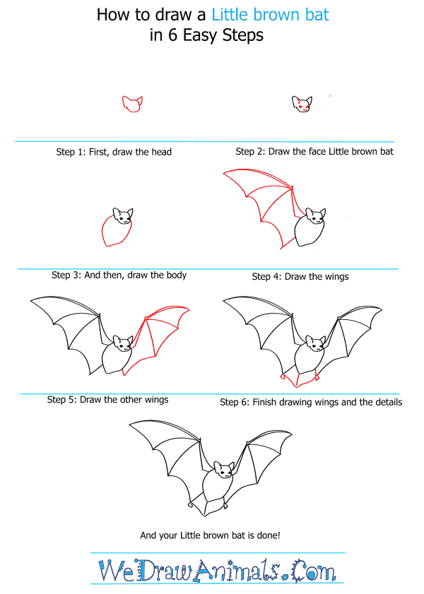 How to Draw a Little Brown Bat - Step-by-Step Tutorial