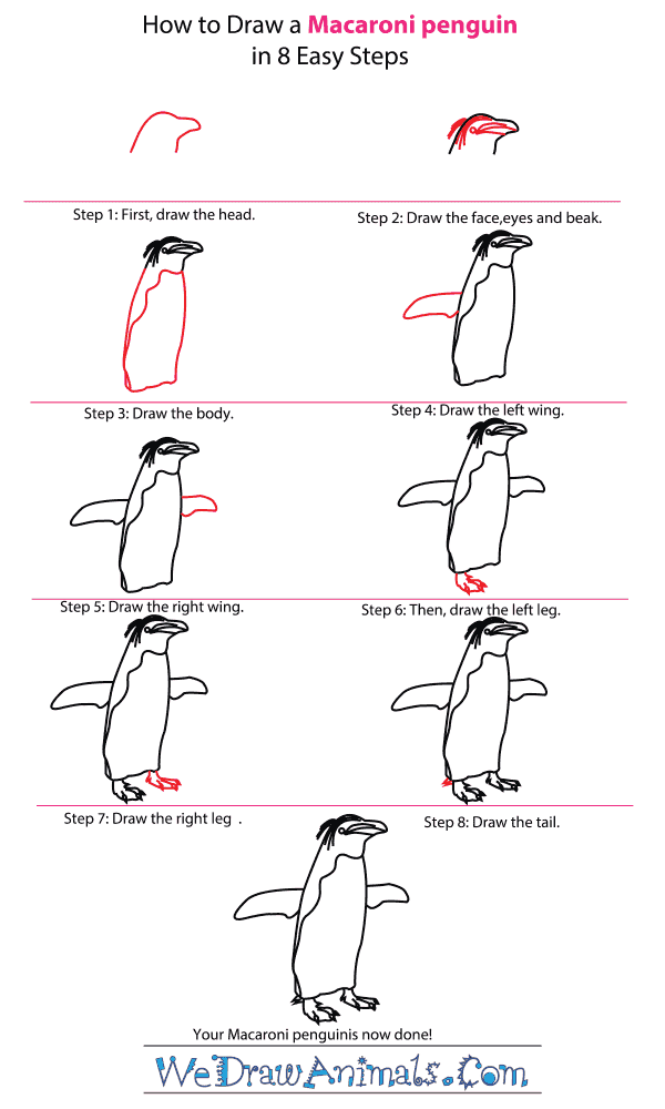 How to Draw a Macaroni Penguin - Step-By-Step Tutorial