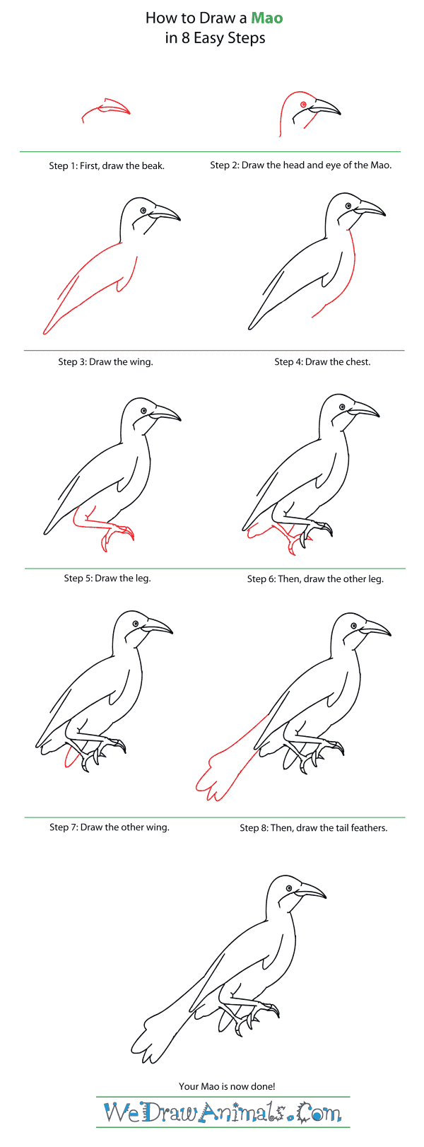 How to Draw a Mao - Step-By-Step Tutorial