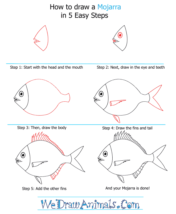 How to Draw a Mojarra - Step-by-Step Tutorial