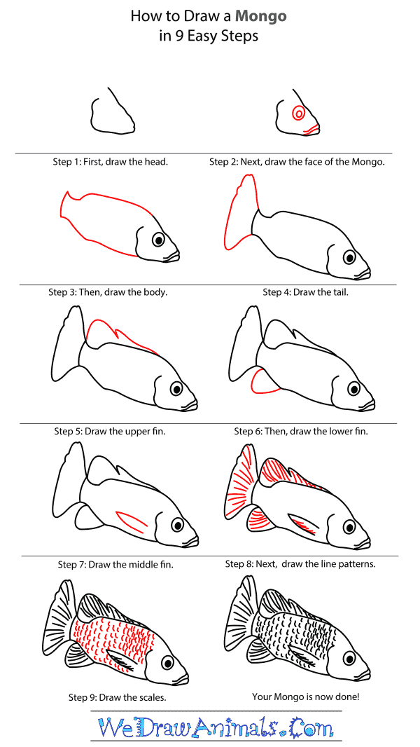 How to Draw a Mongo - Step-By-Step Tutorial
