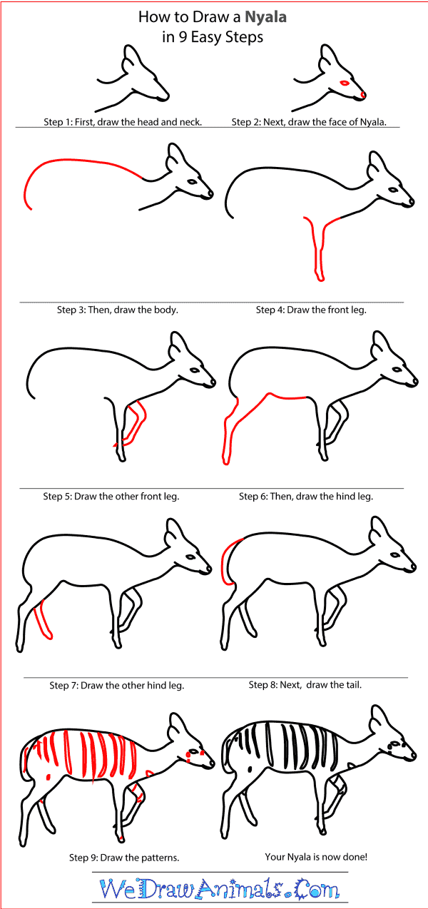 How to Draw a Nyala - Step-by-Step Tutorial