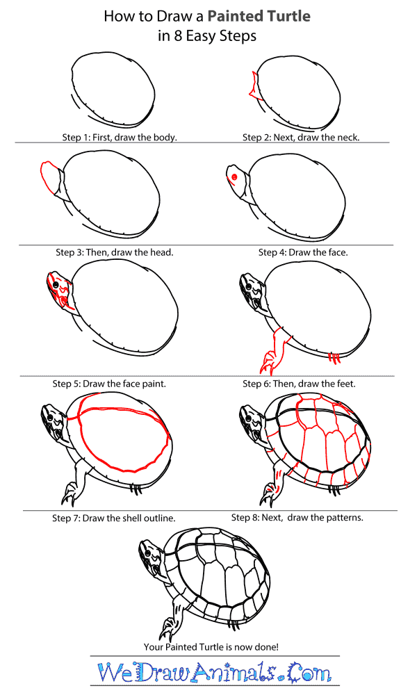 How to Draw a Painted Turtle - Step-By-Step Tutorial