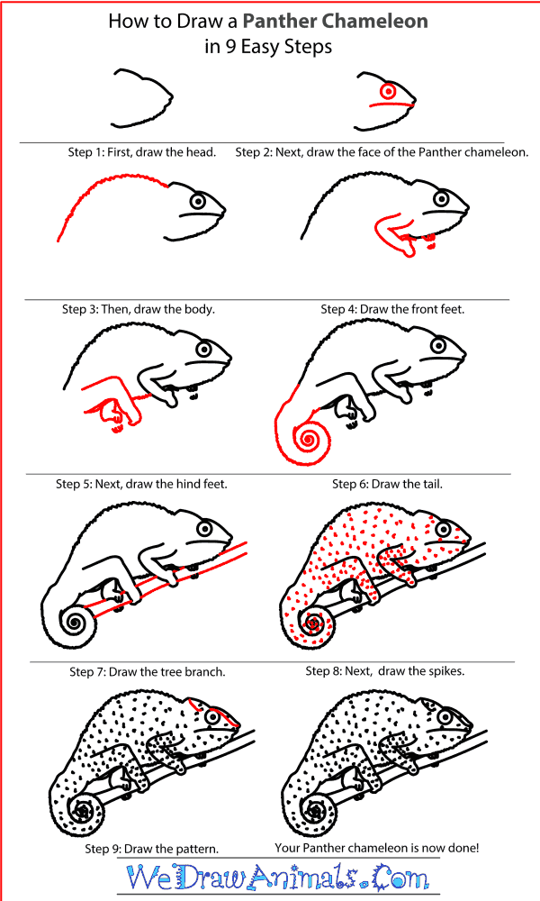 How to Draw a Panther Chameleon - Step-By-Step Tutorial
