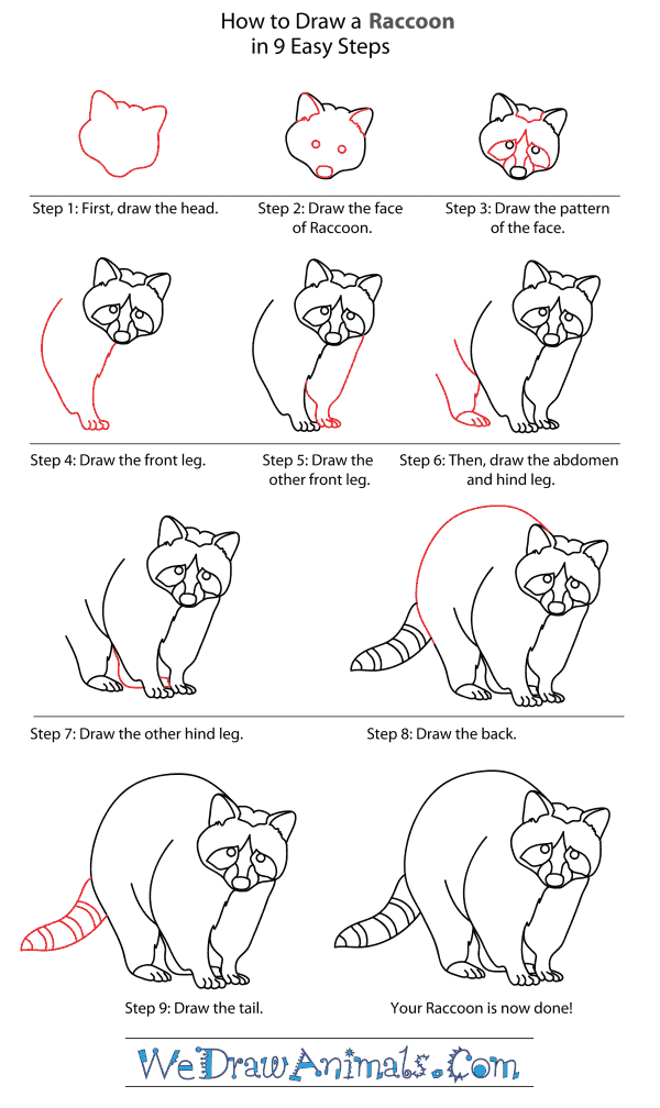 How to Draw a Raccoon Dog - Step-By-Step Tutorial