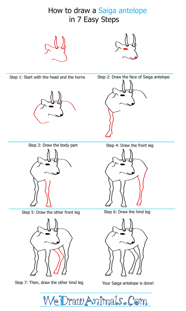 How to Draw a Saiga Antelope - Step-by-Step Tutorial
