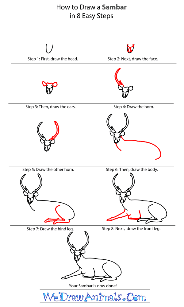 How to Draw a Sambar - Step-by-Step Tutorial