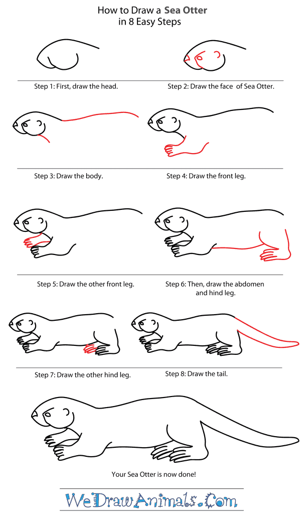 How to Draw a Sea Otter - Step-By-Step Tutorial