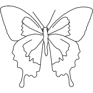 How To Draw a Swallowtail Butterfly - Step-By-Step Tutorial