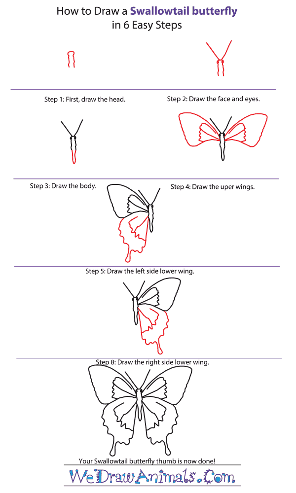 How To Draw A Swallowtail Butterfly One way to draw a butterfly is by starting with a small circle for the head, with two small ovals on either side for the eyes. we draw animals