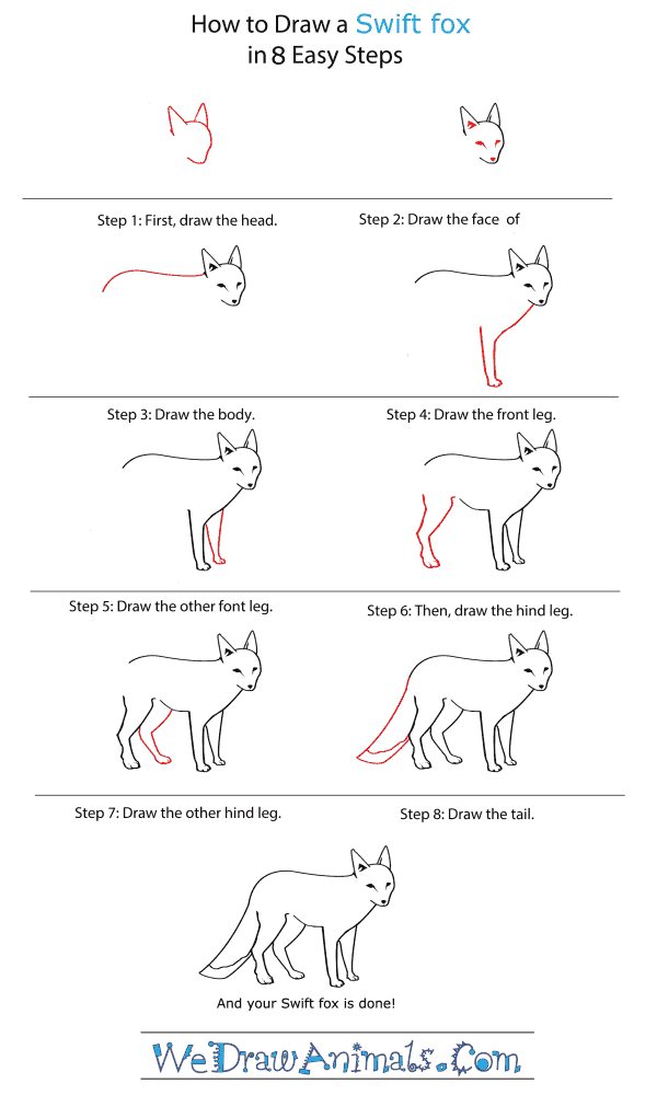 How to Draw a Swift Fox - Step-by-Step Tutorial