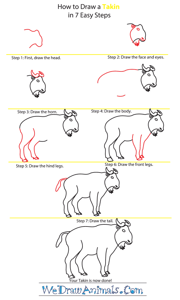 How to Draw a Takin - Step-by-Step Tutorial