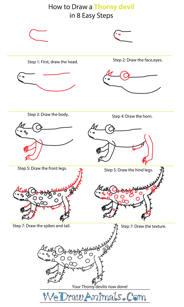 How to Draw a Thorny Devil - Step-By-Step Tutorial