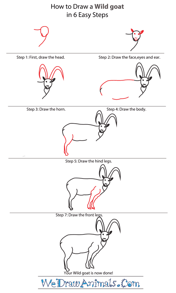 How to Draw a Wild Goat - Step-by-Step Tutorial