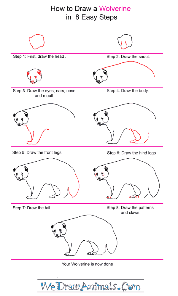 How To Draw a Wolverine - Step-By-Step Tutorial