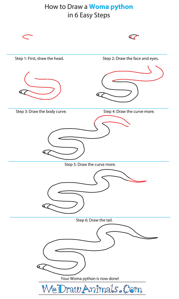 How to Draw a Woma Python - Step-by-Step Tutorial