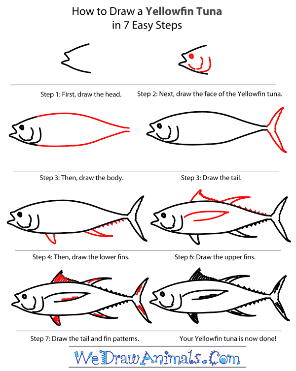 How to Draw a Yellowfin Tuna - Step-By-Step Tutorial