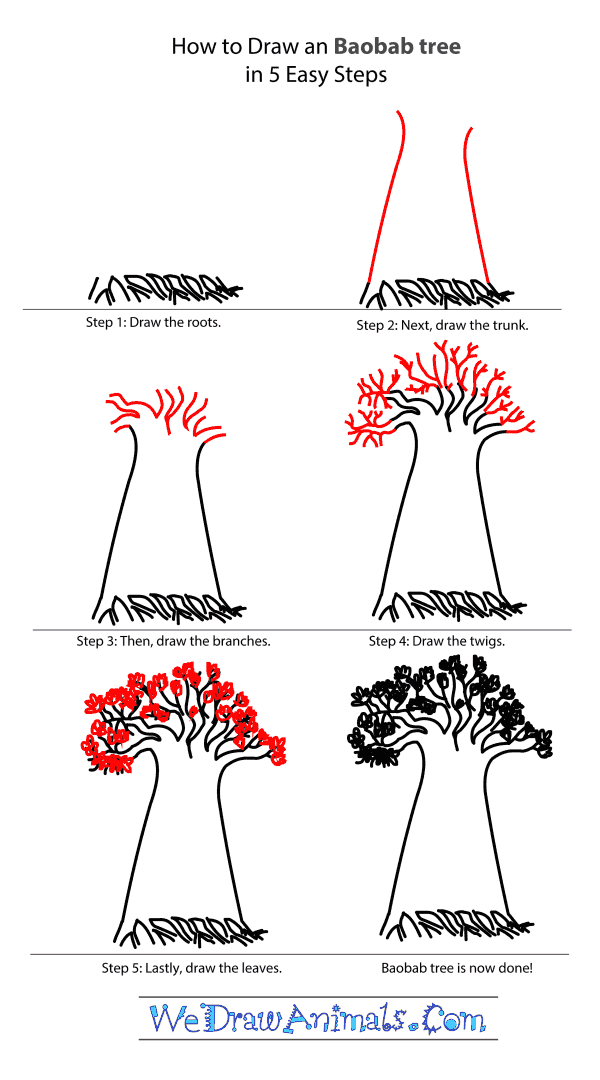 How to Draw a Baobab Tree - Step-by-Step Tutorial