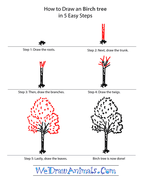 How to Draw a Birch Tree - Step-by-Step Tutorial