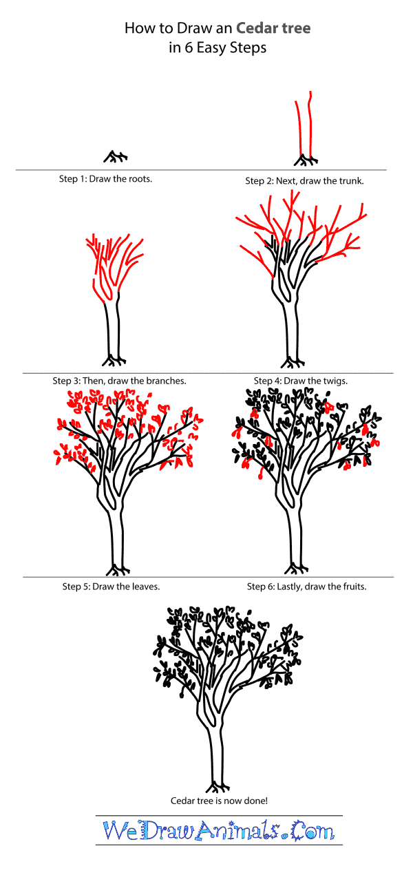 How to Draw a Cedar Tree - Step-by-Step Tutorial