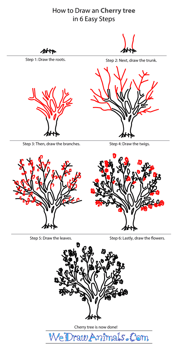 How to Draw a Cherry Tree - Step-by-Step Tutorial