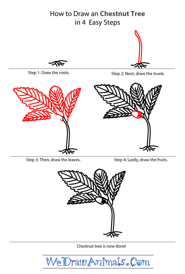 How to Draw a Chestnut Tree - Step-by-Step Tutorial