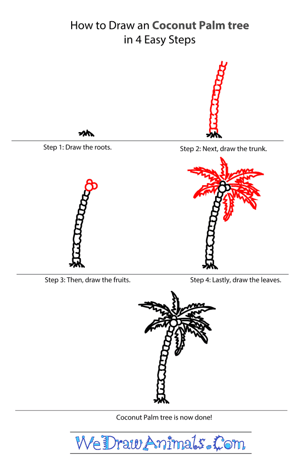 How to Draw a Coconut Palm Tree - Step-by-Step Tutorial
