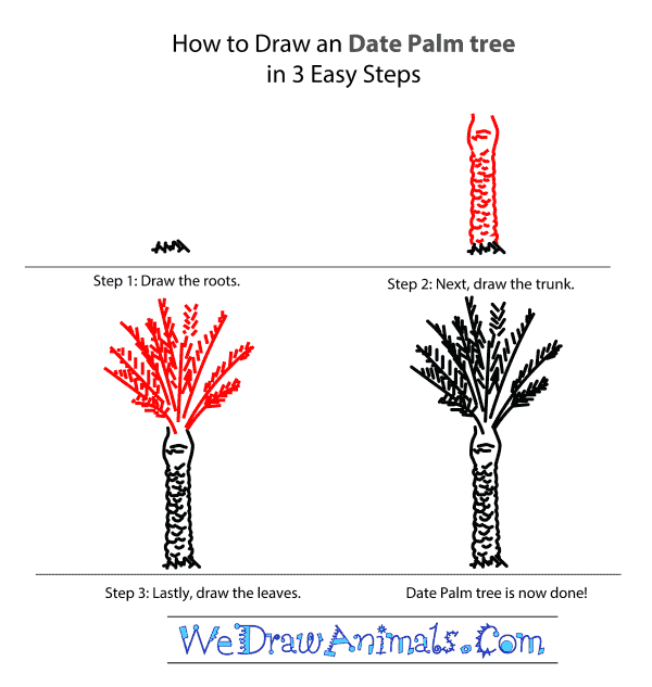 How to Draw a Date Palm Tree - Step-by-Step Tutorial