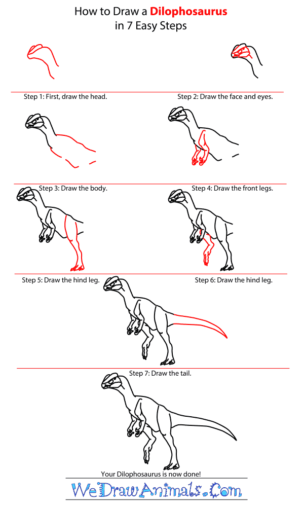 How to Draw a Dilophosaurus - Step-by-Step Tutorial