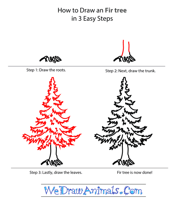 How to Draw a Fir Tree - Step-by-Step Tutorial