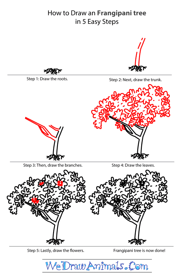 How to Draw a Frangipani Tree - Step-by-Step Tutorial