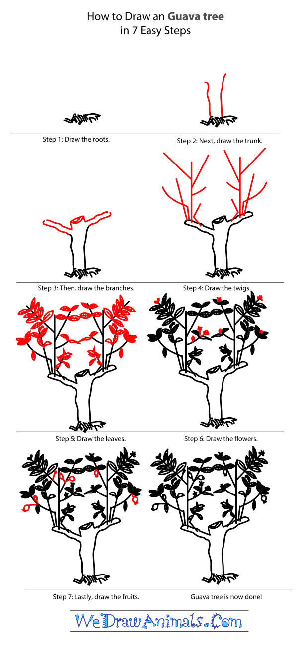 Featured image of post Bayabas Drawing Easy Learn how to draw base pictures using these outlines or print just for coloring