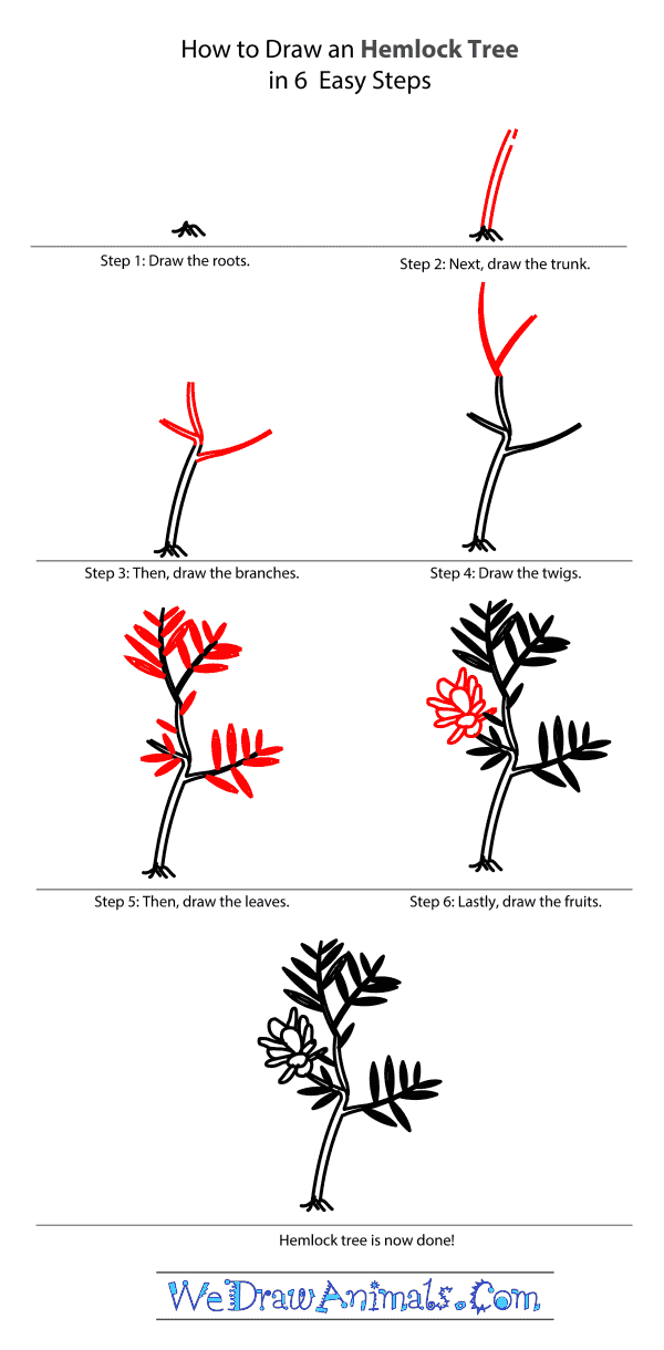 How to Draw a Hemlock Tree - Step-by-Step Tutorial
