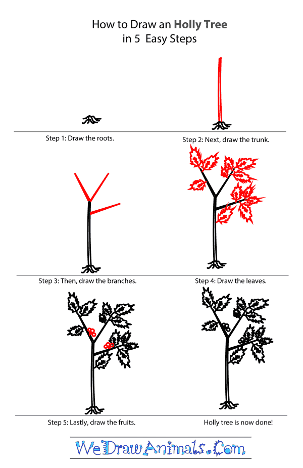 How to Draw a Holly Tree - Step-by-Step Tutorial